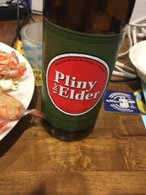 pliny the elder